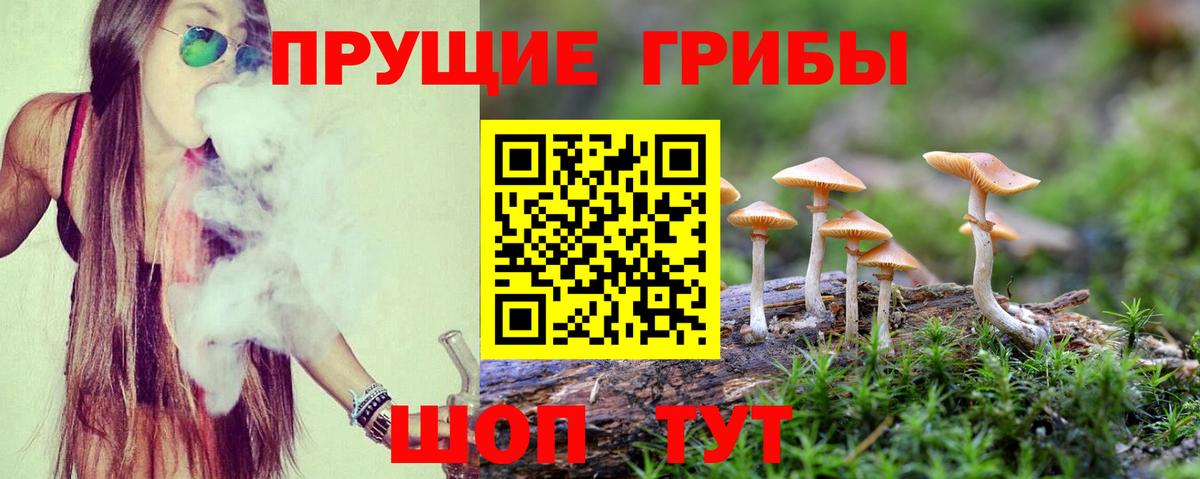 Галлюциногенные грибы GOLDEN TEACHER  Вход с VPN  Белая Калитва 